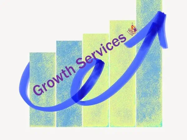 Cover image of a graph showing growth services